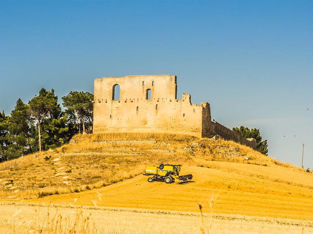 “Filiera di Legumi”, da Gravina in Puglia l’ambizioso progetto di Andriani SPA